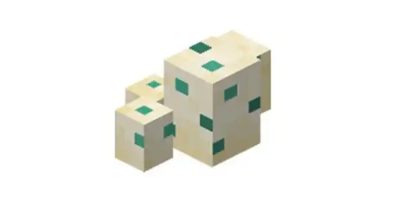 我的世界海龟蛋怎么采集1