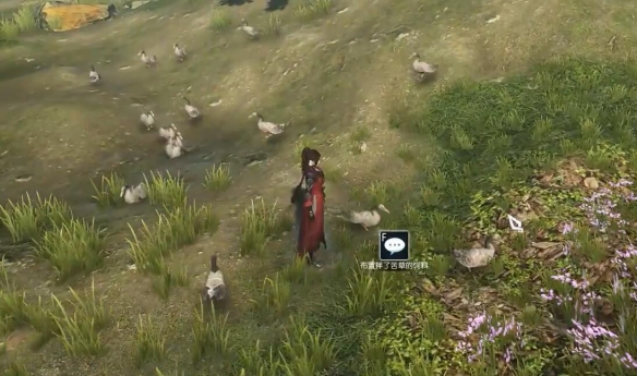 逆水寒手游甄选之鸭奇遇怎么做8