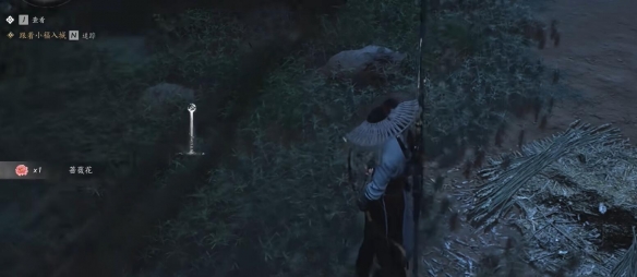 燕云十六声蔷薇风信任务怎么做8