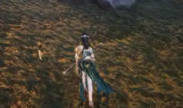 燕云十六声蛇王密藏怎么过1