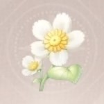 无限暖暖小棉菊在哪2