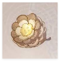 无限暖暖植物怎么采集3