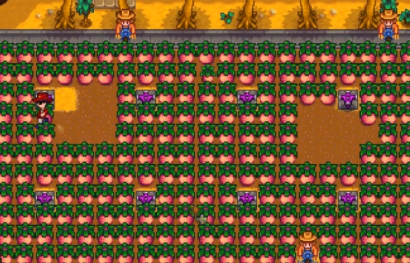 星露谷物语作物研究任务怎么做3