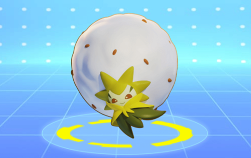 宝可梦大集结白蓬蓬持有物怎么选择1