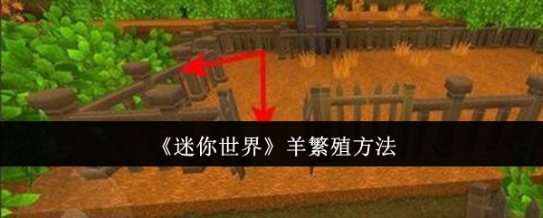 迷你世界羊怎么繁殖1