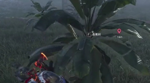 七日世界香蕉怎么获得3