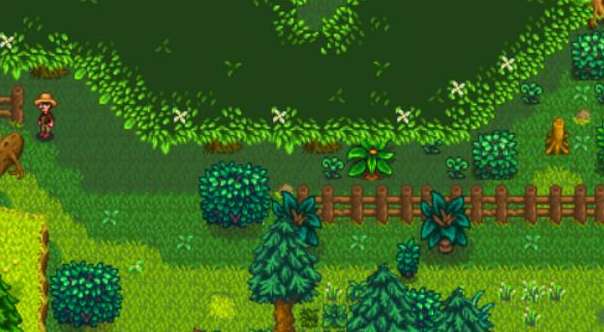 星露谷物语森林怎么解锁2