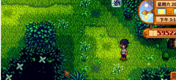 星露谷物语森林怎么解锁5