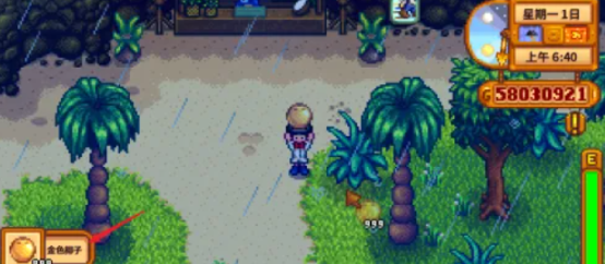 星露谷物语金椰子怎么砸开2