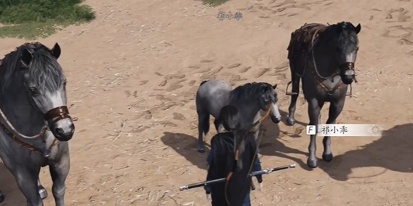 燕云十六声伏马庄祁氏家驯怎么完成8