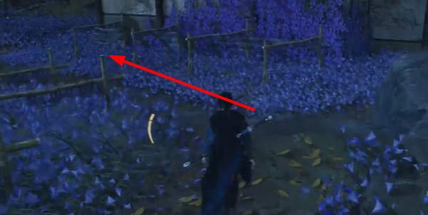 燕云十六声慈心镇应悔偷灵药任务怎么完成5