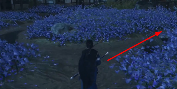 燕云十六声慈心镇应悔偷灵药任务怎么完成6