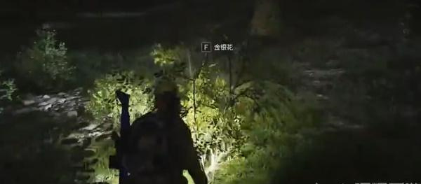 七日世界金银花怎么获取5