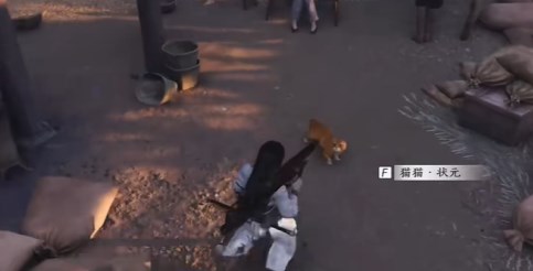 燕云十六声动物猫猫状元在哪5