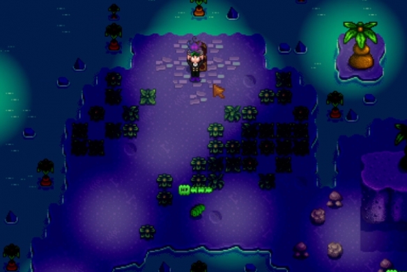 星露谷物语女巫小屋位置在哪2