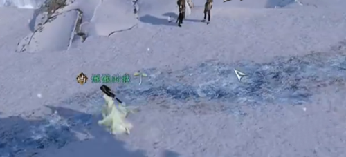 逆水寒手游寒石野人奇遇怎么完成2