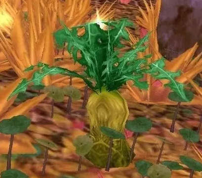 魔兽世界下水道炖肉任务怎么做4