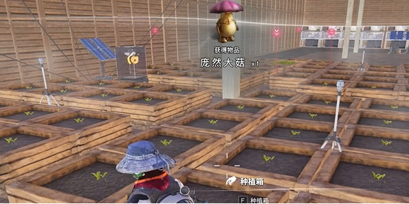 七日世界庞然大菇怎么获得5