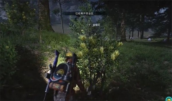 七日世界金银花位置在哪3