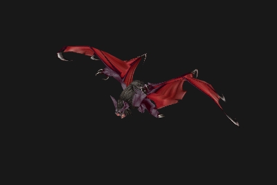 魔兽世界wlk蝙蝠在哪抓7