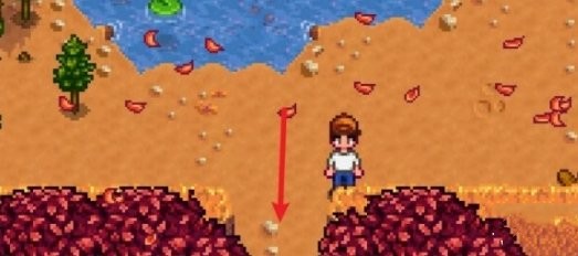 星露谷物语镇长紫色短裤在哪里3