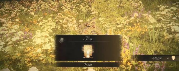 艾尔登法环dlc小黄金树的位置1