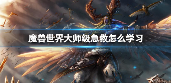 魔兽世界大师级急救怎么学习_魔兽世界大师级急救配方
