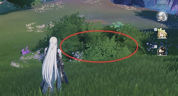 鸣潮咕噜幼像怎么打5