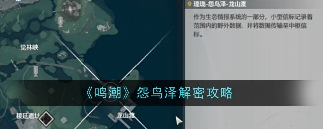 鸣潮怨鸟泽解密怎么做_鸣潮怨鸟泽立方解密