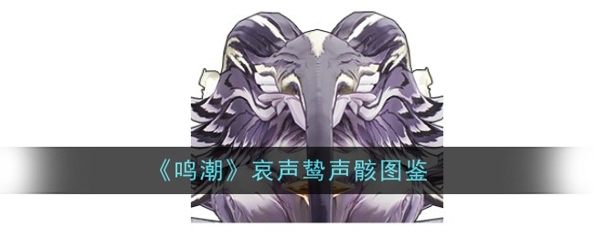 鸣潮哀声鸷声骸怎么样_哀鸣声之多艰