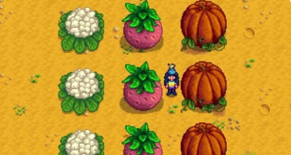 星露谷物语甜瓜怎么买1