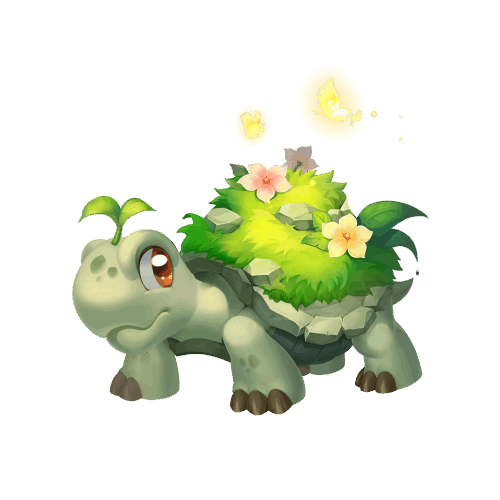 梦幻西游草龟怎么获得2