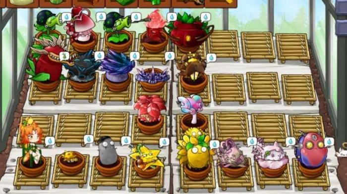 奇异园艺五朵花是什么花1