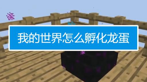 我的世界中的龙蛋怎么孵化2