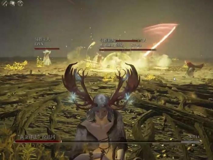 gt1030能玩艾尔登法环吗2