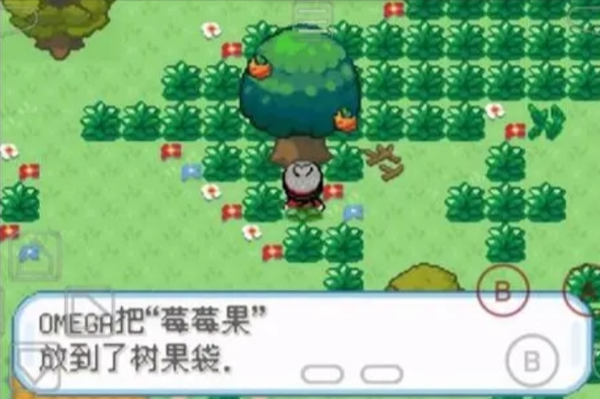 口袋妖怪火红果树森林怎么走1