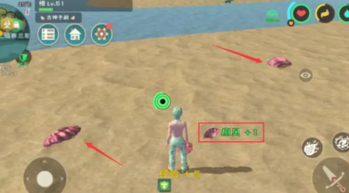 创造与魔法小贝壳在哪里1