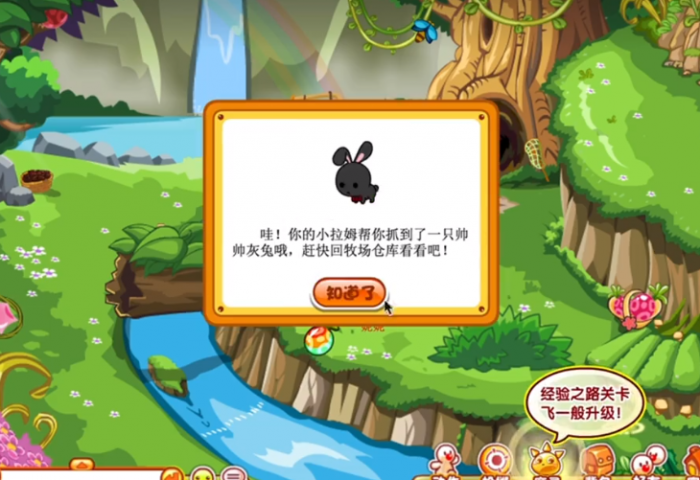 摩尔庄园怎么抓白兔2