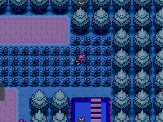 口袋妖怪火红凤凰怎么抓1