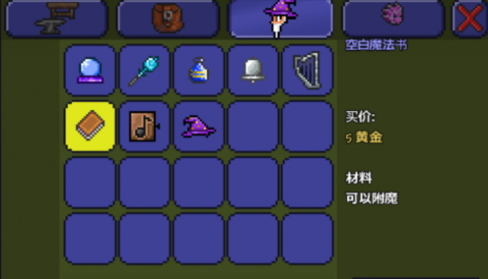 泰拉瑞亚有哪些饰品2