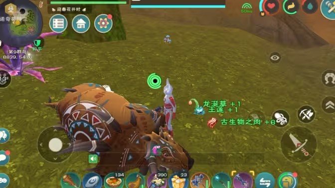 创造与魔法龙涎草位置分布在哪里1