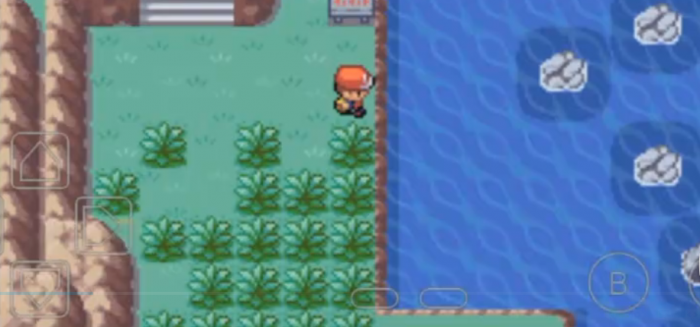 口袋妖怪火红太阳石在哪_口袋妖怪火红太阳石金手指