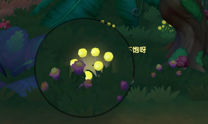 摩尔庄园怎么获得更多草3