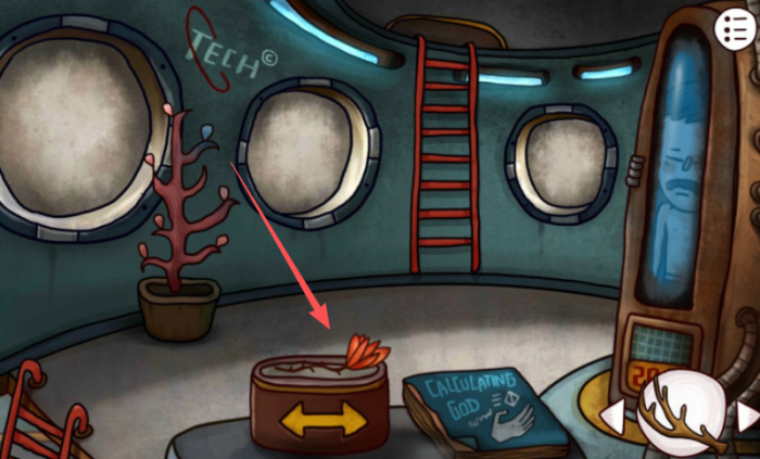 迷失岛2红花在哪里弄_迷失岛2红色花在哪