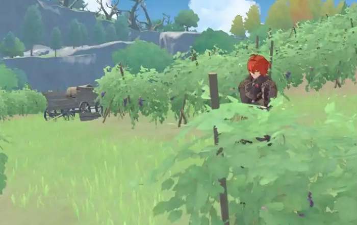 原神初成葡萄藤怎么获得_原神家具葡萄藤