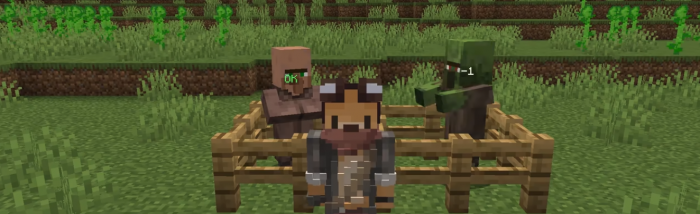 我的世界怎么把村民弄回家_我的世界把村民带回家