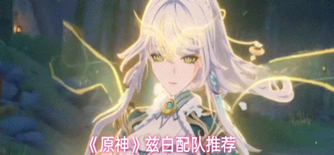 原神兹白怎么配队1