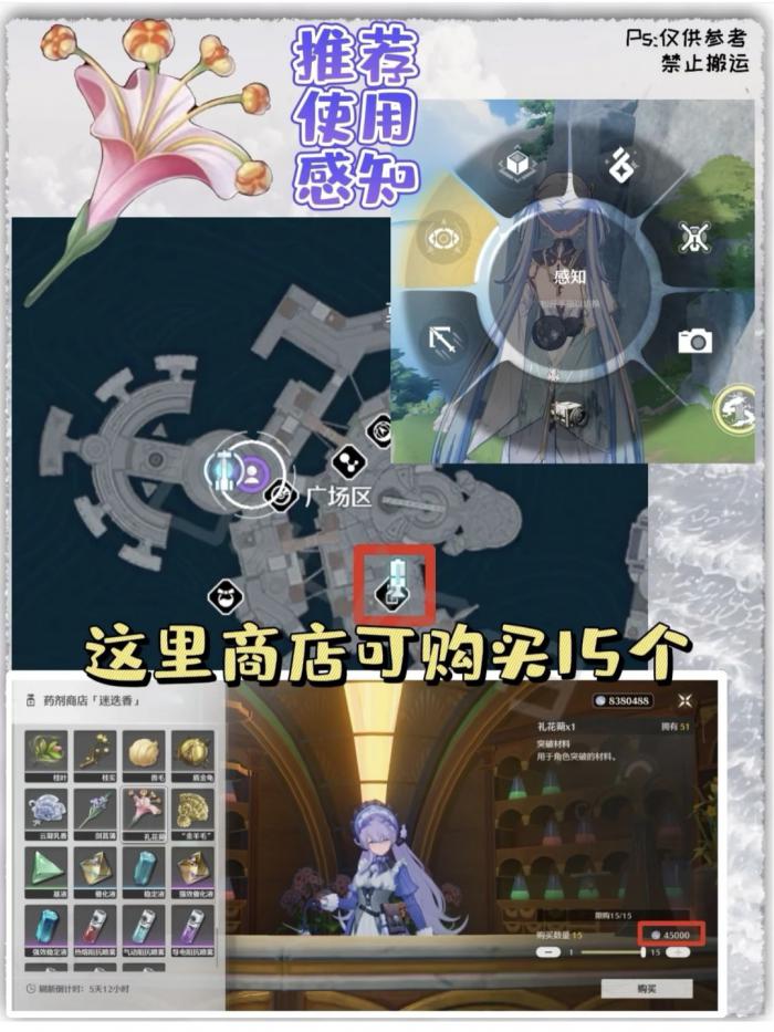 鸣潮礼花蒴采集路线2