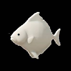 逃离鸭科夫白扁鱼在哪钓1