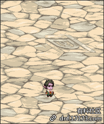 《DNF》迷你里查德宠物介绍4